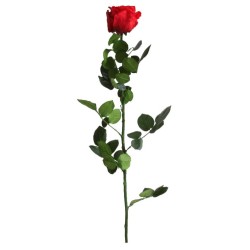 Rose eternelle sur tige | Grossiste Fleuristes | Fleurs Stabilisées