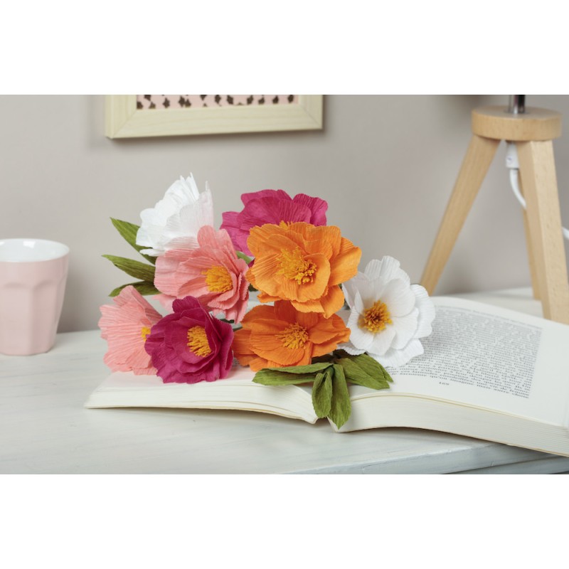 Boîte créative DIY - fleurs en papier crépon