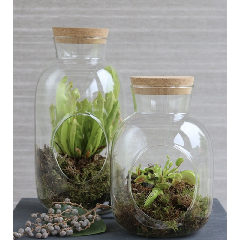 Grossiste Fleuristes | Verrerie | Terrarium