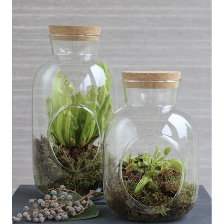 Grossiste Fleuristes | Verrerie | Terrarium