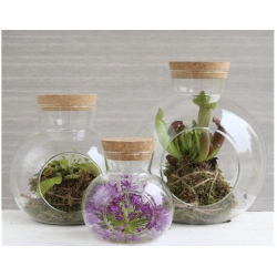 Grossiste en Verre | Fournisseur fleuriste  | Qualité Prix