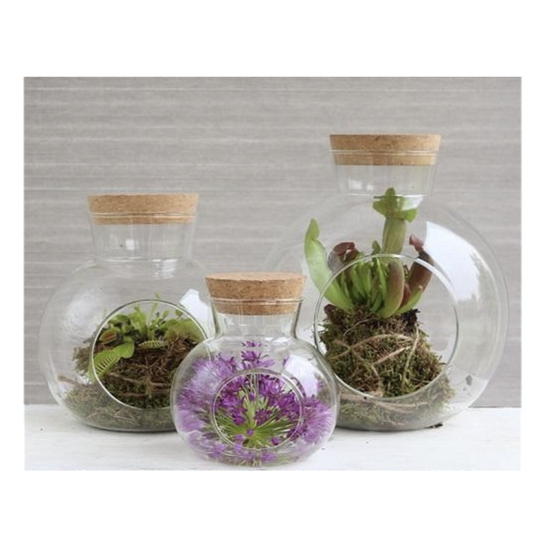 Grossiste en Verre | Fournisseur fleuriste  | Qualité Prix