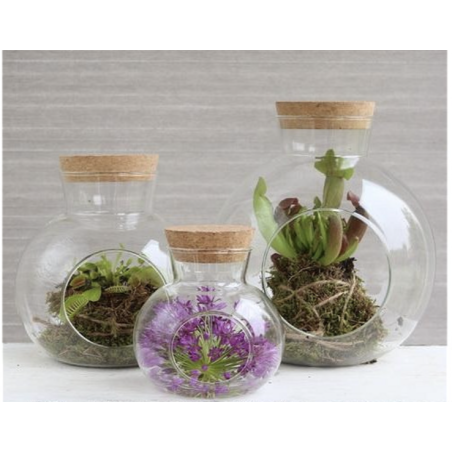 Grossiste en Verre | Fournisseur fleuriste  | Qualité Prix