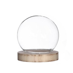 Cloche en Verre  | Grossiste Fleuriste | Artiflor