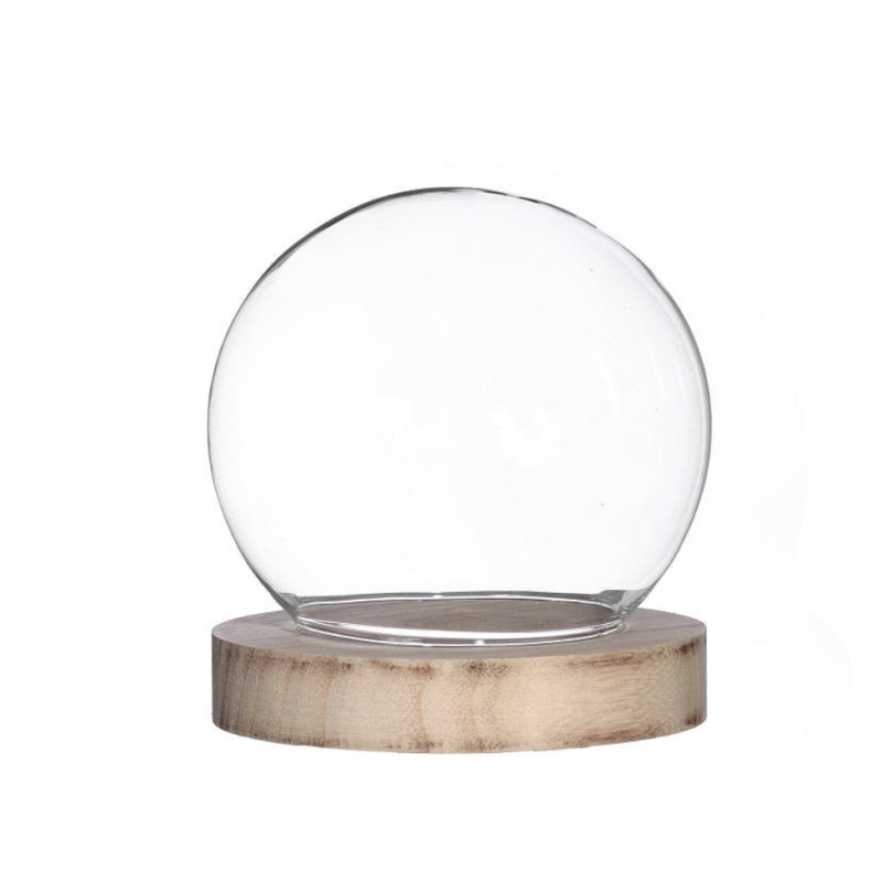 Cloche en Verre  | Grossiste Fleuriste | Artiflor