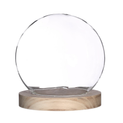 Cloche en Verre  | Grossiste Fleuriste | Artiflor