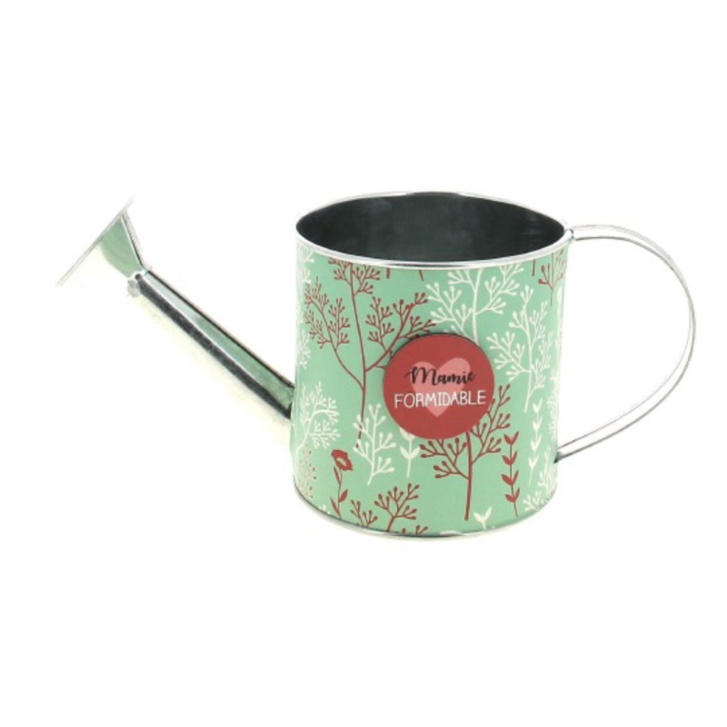 Arrosoir metal  | Grossiste en vase  | Accessoires fleuristes