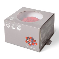 Rose Eternelle forme coeur | Fournisseur Rose Eternelle | Qualité Prix