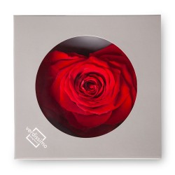 Rose Eternelle forme coeur | Fournisseur Rose Eternelle | Qualité Prix