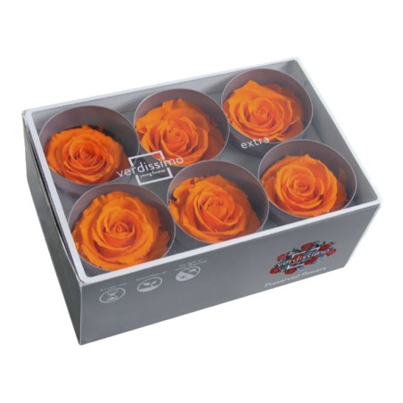 Rose Eternelle | Grossiste Fleuristes | Fleurs stabilisées