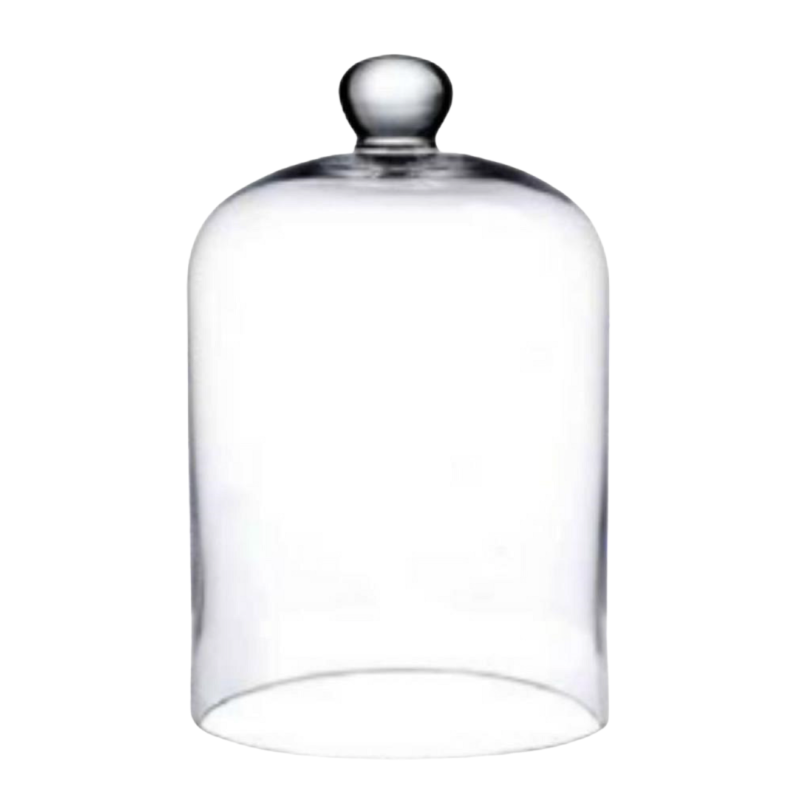 Cloche en Verre Socle Bois | Grossiste Fleuriste | Qualité Prix