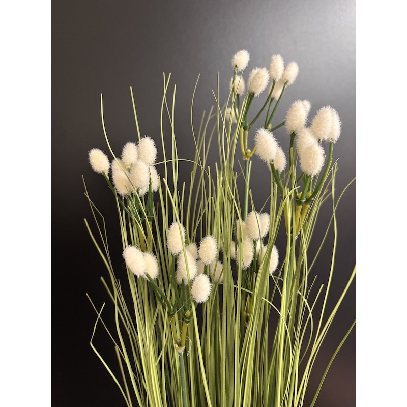 Saule velours | Feuillage haut de gamme