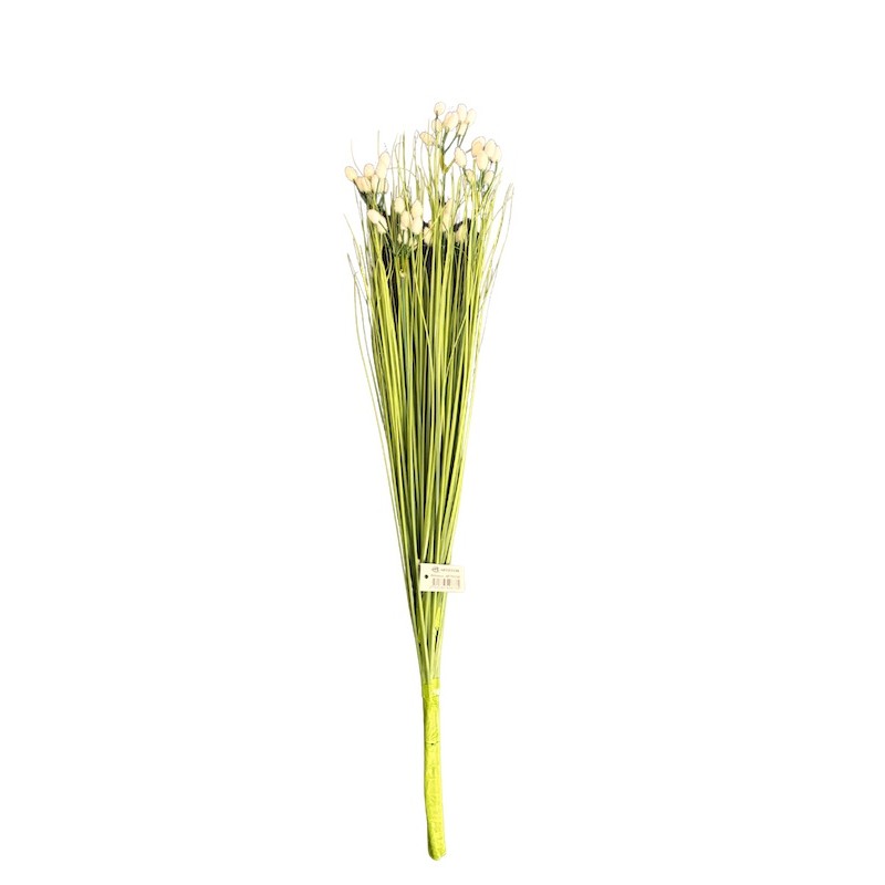 Saule velours | Feuillage haut de gamme
