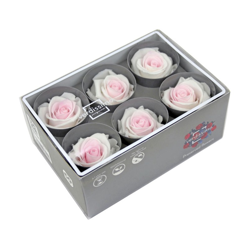 Rose Eternelle | Grossiste Fleuristes | Fleurs stabilisées