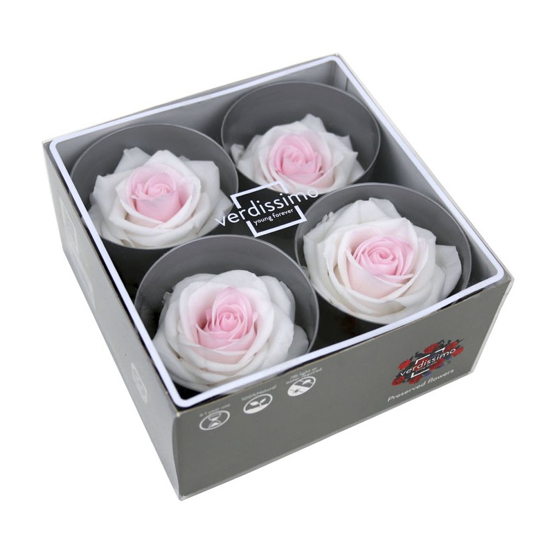 Rose Eternelle | Grossiste Fleuristes | Fleurs stabilisées