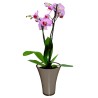 Vase Fizzy incassable en plastique - 4 hauteurs, 6 coloris