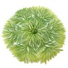 Corolle verte feuillage Artificiel