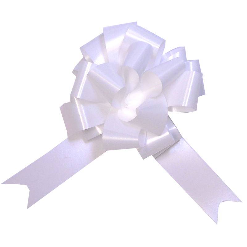Noeud automatique Boite de 20 pièces Blanc
