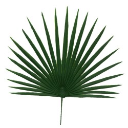 Chamerops feuillage | Grossiste feuillage Artificiel