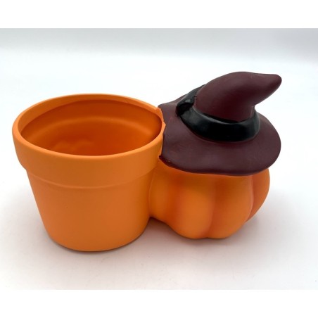 pot citrouille | Grossiste Fleuriste | Qualité Prix