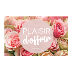 Carte message avec enveloppe " PLAISIR D'OFFRIR "