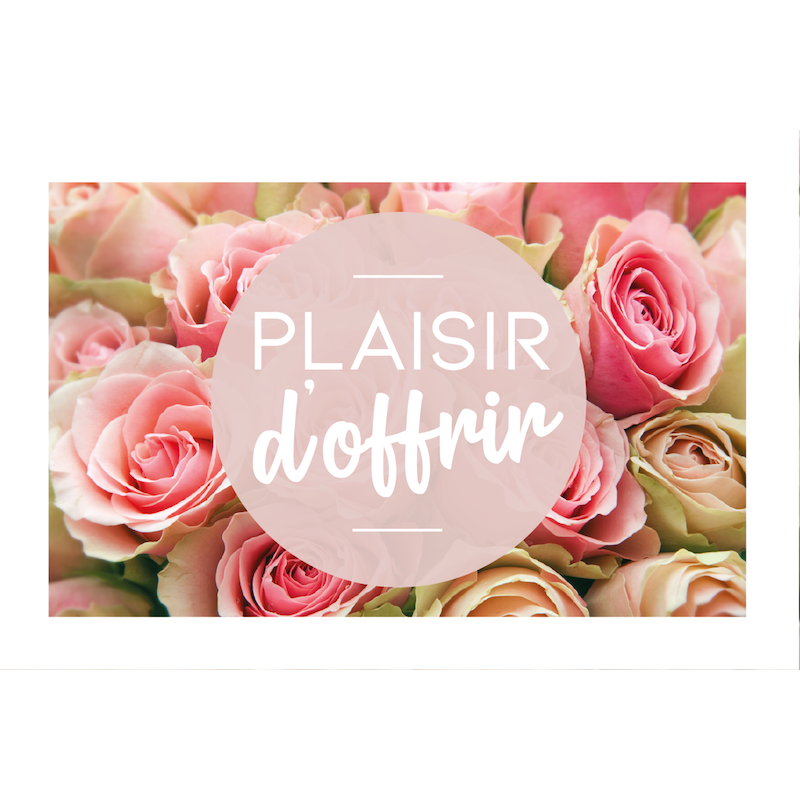 Carte message avec enveloppe " PLAISIR D'OFFRIR "