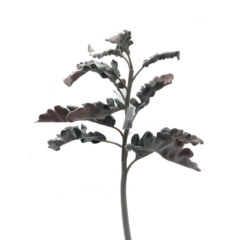 Feuillage Artificiel | Grossiste Plantes Artificielles | Cinéraire