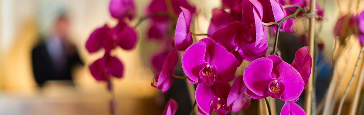 Grossiste en fleurs artificielles | Artiflor | Vente en gros