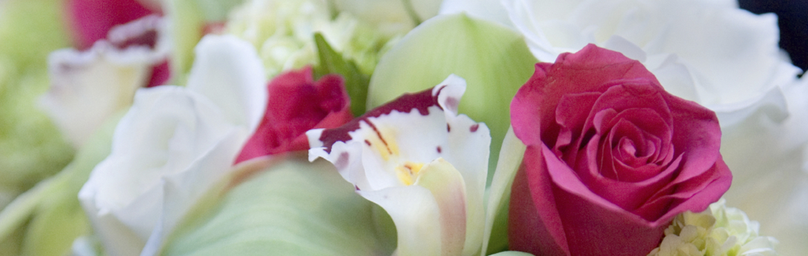 Artiflor - Grossiste en soins pour fleurs