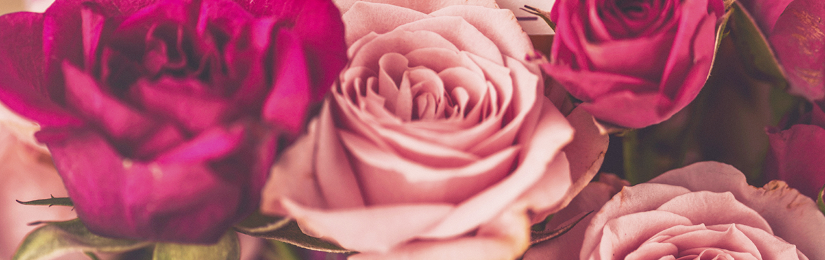 Artiflor | Grossiste Articles Florales | Végétaux stabilisés