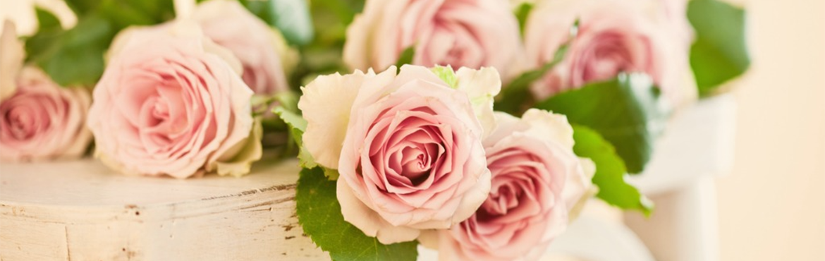 Artiflor | Grossiste pour les professionnels | Roses Stabilisées
