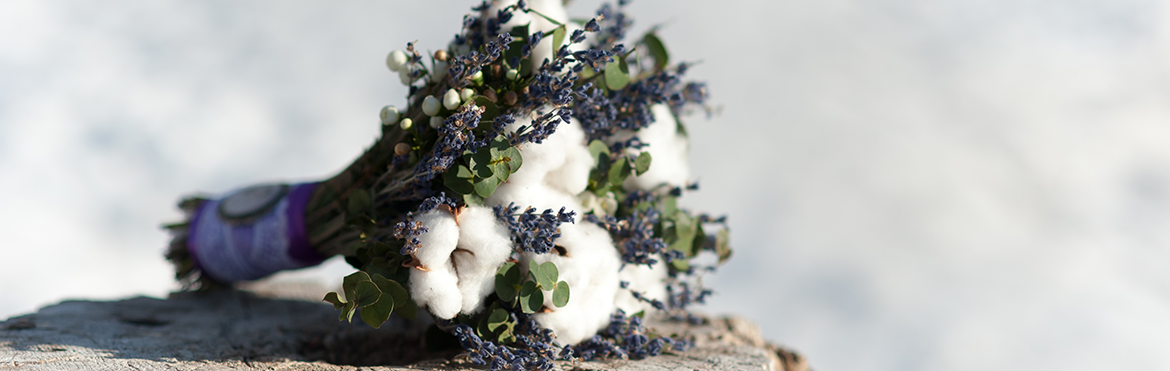 Artiflor  | Grossiste Article Florale | Fleurs Séchées