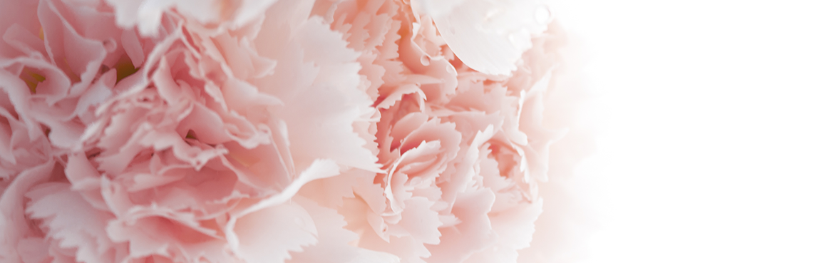 Artiflor | Grossiste pour les professionnels | Fleurs Stabilisées