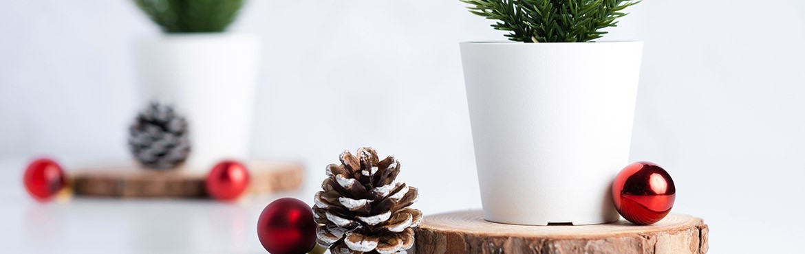 contenants et déco pas cher pour noel